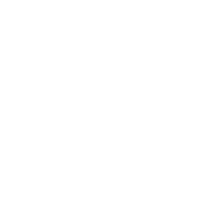 inc